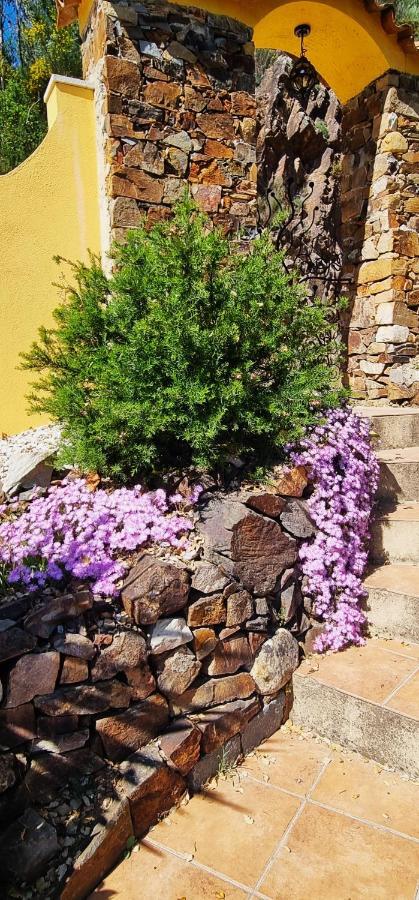 شقة Quinta Do Cabril Serpins المظهر الخارجي الصورة